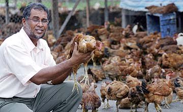 Dr Mohamad Zainol Labur RM1 Juta Bagi Membina Ladang, Cipta Makanan Ternakan Sendiri 1