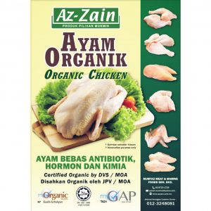ayam organik ayam bebas antibiotik hormon dan kimia