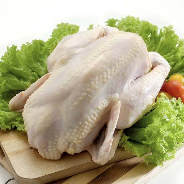 ayam: Harga Ayam Organik Delima Emas