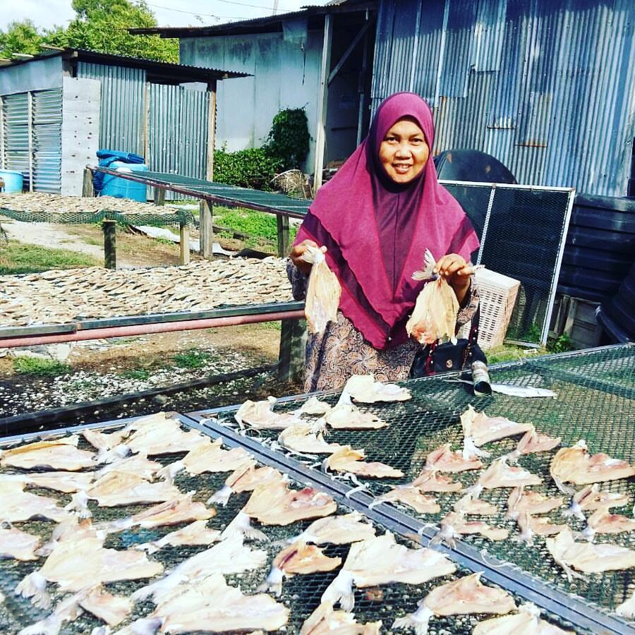Lawatan Ke Tempat Penghasilan Ikan Kering Tanjung Dawai